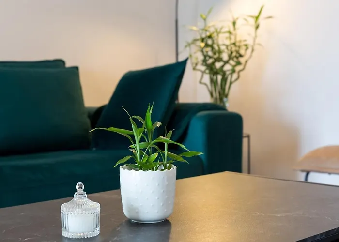 Sun Istria Villa Višnjan